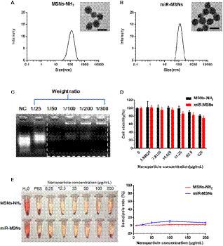 Delivery of microRNA-33 Antagomirs by Mesoporous Silica Nanoparticles to Ameliorate Lipid Metabolic Disorders